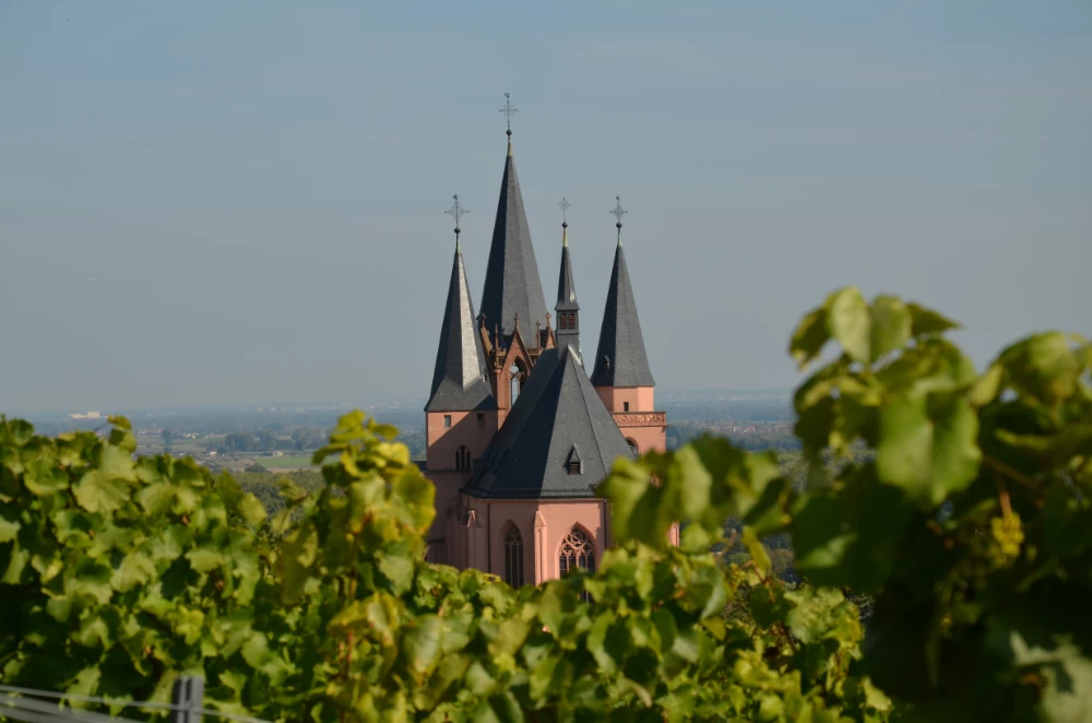 auflugoppenheim2015-1000 (8)
